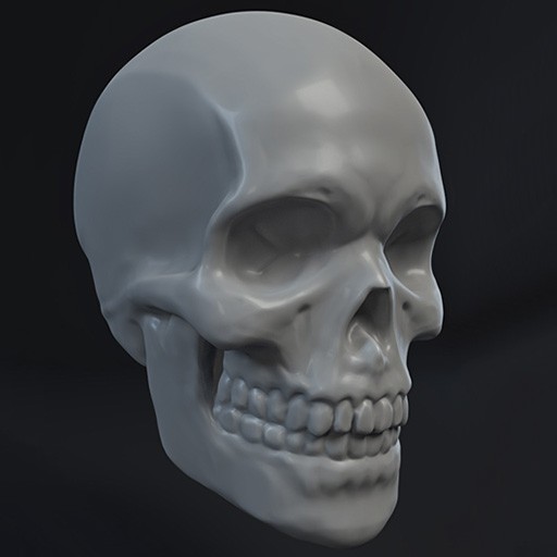 Skull Sculpt preview image 1